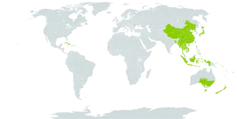 Dendrobium world distribution map, present in Andorra, Australia, Bangladesh, China, Cook Islands, Cuba, Fiji, Indonesia, Jamaica, Japan, Lao People's Democratic Republic, Moldova (Republic of), Maldives, Myanmar, Norfolk Island, Nepal, New Zealand, Philippines, Puerto Rico, Korea (Democratic People's Republic of), Solomon Islands, Seychelles, Thailand, Tonga, Taiwan, Province of China, United States of America, Viet Nam, Vanuatu, Wallis and Futuna, and Samoa