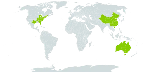 Dennstaedtia world distribution map, present in Australia, China, and United States of America