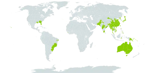 Deparia petersenii world distribution map, present in Australia, Brazil, Bhutan, China, Indonesia, India, Japan, Sri Lanka, Myanmar, Mauritius, Nepal, Pakistan, Philippines, Papua New Guinea, Korea (Democratic People's Republic of), Portugal, Réunion, Solomon Islands, Thailand, Taiwan, Province of China, United States of America, and Viet Nam