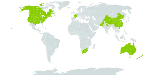 Descurainia sophia world distribution map, present in Australia, Canada, China, France, India, Nepal, New Zealand, Pakistan, United States of America, and South Africa