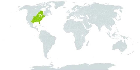 Desmodium cuspidatum world distribution map, present in Canada and United States of America