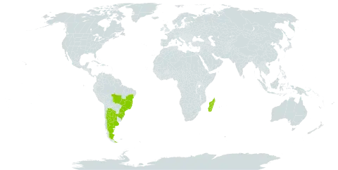 Desmodium leiocarpum world distribution map, present in Argentina, Brazil, and Madagascar