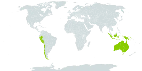 Desmodium limense world distribution map, present in American Samoa, Australia, Bonaire, Sint Eustatius and Saba, Chile, Indonesia, Peru, and Papua New Guinea