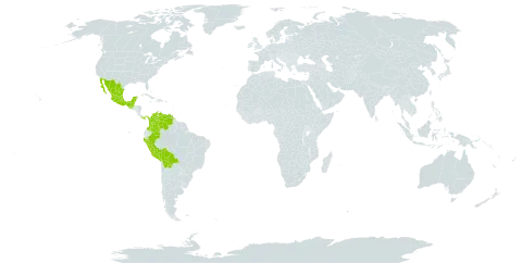 Desmodium molliculum world distribution map, present in American Samoa, Belize, Bolivia (Plurinational State of), Colombia, Guatemala, Mexico, Panama, Peru, and Venezuela (Bolivarian Republic of)