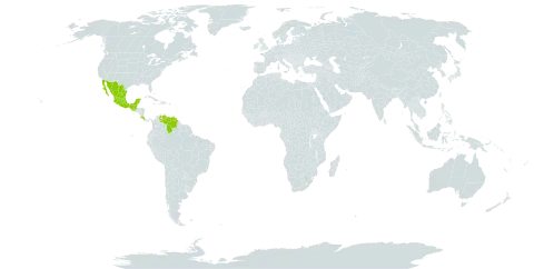 Desmodium procumbens var. transversum world distribution map, present in Costa Rica, Guatemala, Mexico, and Venezuela (Bolivarian Republic of)