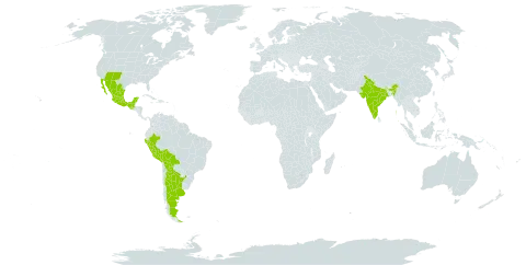 Desmodium rosei world distribution map, present in Argentina, Bolivia (Plurinational State of), Guatemala, India, Mexico, Peru, and United States of America