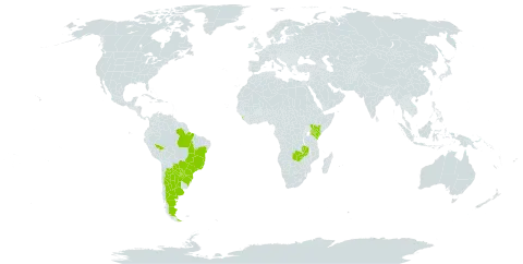 Desmodium subsecundum world distribution map, present in Argentina, Brazil, Kenya, Sri Lanka, Paraguay, and Zambia