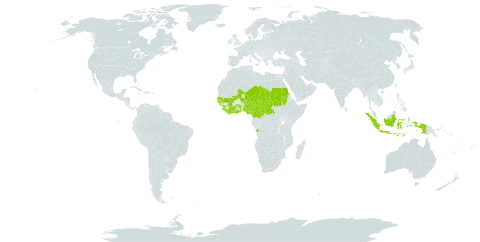 Detarium microcarpum world distribution map, present in Angola, Central African Republic, Côte d'Ivoire, Cameroon, Ghana, Guinea, Gambia, Guinea-Bissau, Indonesia, Liberia, Mali, Niger, Nigeria, Sudan, Senegal, Singapore, Sierra Leone, Chad, Togo, and Trinidad and Tobago