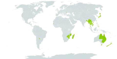 Dianella ensifolia world distribution map, present in Argentina, Australia, Bangladesh, China, Jamaica, Japan, Lao People's Democratic Republic, Moldova (Republic of), Madagascar, Myanmar, Mozambique, Mauritius, Nepal, New Zealand, Philippines, Réunion, Solomon Islands, Seychelles, Thailand, Taiwan, Province of China, Viet Nam, and Zimbabwe