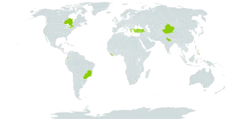 Dianthus chinensis world distribution map, present in Brazil, Canada, China, Colombia, Greece, India, Liberia, Philippines, and Turkey