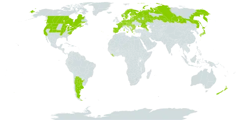 Dianthus deltoides world distribution map, present in Albania, Andorra, Argentina, Austria, Azerbaijan, Belgium, Bulgaria, Bosnia and Herzegovina, Belarus, Canada, Switzerland, Czech Republic, Germany, Denmark, Spain, Estonia, Finland, France, United Kingdom of Great Britain and Northern Ireland, Greece, Croatia, Hungary, India, Italy, Japan, Liberia, Liechtenstein, Lithuania, Luxembourg, Latvia, North Macedonia, Malta, Montenegro, Netherlands, Norway, New Zealand, Poland, Portugal, Romania, Russian Federation, Serbia, Slovakia, Slovenia, Sweden, Ukraine, and United States of America