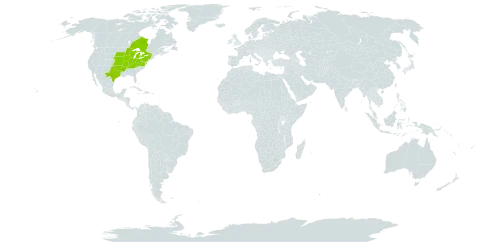 Diarrhena obovata world distribution map, present in Canada and United States of America