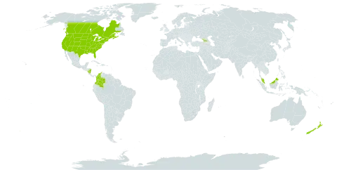 Dichanthelium lanuginosum world distribution map, present in Åland Islands, Canada, Colombia, Micronesia (Federated States of), Georgia, Malaysia, Nicaragua, New Zealand, and United States of America