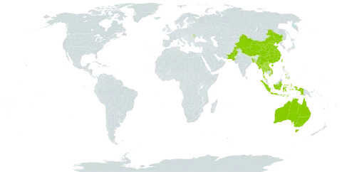 Dienia world distribution map, present in Andorra, Australia, Bangladesh, China, Indonesia, Lao People's Democratic Republic, Moldova (Republic of), Myanmar, Nepal, Pakistan, Philippines, Thailand, Taiwan, Province of China, and Viet Nam