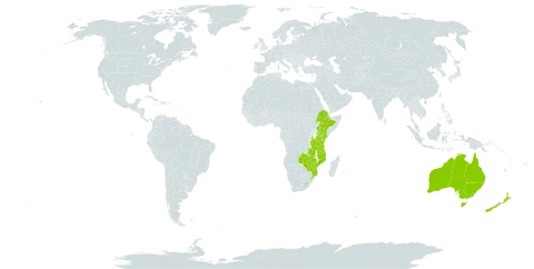 Dierama world distribution map, present in Australia, Ethiopia, Kenya, Lesotho, Mozambique, New Zealand, eSwatini, Tanzania, United Republic of, Uganda, Zambia, and Zimbabwe