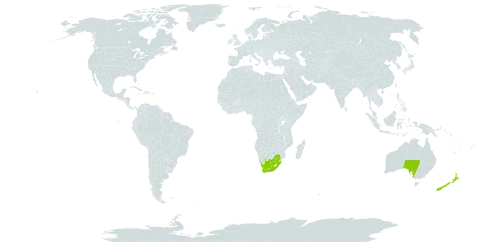 Dierama pendulum world distribution map, present in Australia, New Zealand, and South Africa