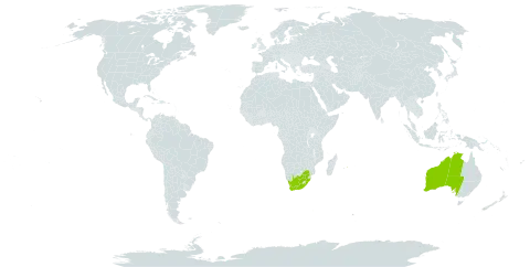 Dietes grandiflora world distribution map, present in Australia, Mauritius, and South Africa