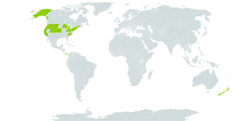 Digitalis world distribution map, present in New Zealand, Panama, and United States of America