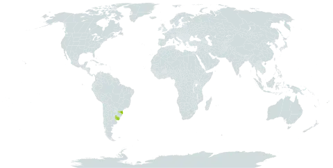 Digitaria enodis world distribution map, present in Brazil and Uruguay