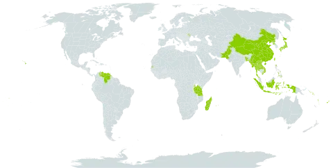 Digitaria radicosa world distribution map, present in Andorra, Bangladesh, China, Cook Islands, Fiji, Indonesia, Japan, Lao People's Democratic Republic, Moldova (Republic of), Madagascar, Myanmar, Mauritius, Nepal, Nauru, Pakistan, Philippines, Korea (Democratic People's Republic of), Réunion, Solomon Islands, Seychelles, Thailand, Tonga, Taiwan, Province of China, Tanzania, United Republic of, United States of America, Venezuela (Bolivarian Republic of), Viet Nam, Vanuatu, Wallis and Futuna, and Samoa