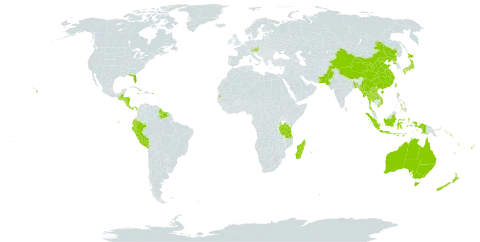 Digitaria setigera world distribution map, present in Andorra, Australia, Austria, Bangladesh, Belize, China, Cook Islands, Costa Rica, Cayman Islands, Ecuador, Fiji, Guatemala, Guyana, Honduras, Indonesia, Jamaica, Japan, Lao People's Democratic Republic, Madagascar, Myanmar, Mauritius, Norfolk Island, Nicaragua, Nepal, Nauru, New Zealand, Pakistan, Panama, Pitcairn, Peru, Philippines, Puerto Rico, Korea (Democratic People's Republic of), Réunion, Solomon Islands, Suriname, Seychelles, Thailand, Tokelau, Tonga, Taiwan, Province of China, Tanzania, United Republic of, United States of America, Viet Nam, Vanuatu, Wallis and Futuna, and Samoa