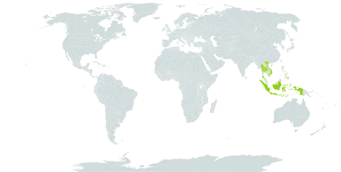 Digitaria setigera var. calliblepharata world distribution map, present in Indonesia, Philippines, Thailand, and Viet Nam