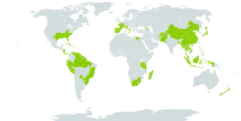 Digitaria violascens world distribution map, present in Afghanistan, Åland Islands, Andorra, Bangladesh, Bahamas, Bermuda, Brazil, China, Cook Islands, Costa Rica, Cuba, Ecuador, Egypt, Spain, Fiji, France, Georgia, Guyana, Indonesia, Italy, Jamaica, Japan, Lao People's Democratic Republic, Moldova (Republic of), Madagascar, Myanmar, Mauritius, Malaysia, Norfolk Island, Nicaragua, Nepal, Nauru, New Zealand, Pakistan, Panama, Peru, Philippines, Puerto Rico, Korea (Democratic People's Republic of), Portugal, Paraguay, Réunion, Suriname, Turks and Caicos Islands, Thailand, Taiwan, Province of China, Tanzania, United Republic of, United States of America, Venezuela (Bolivarian Republic of), Viet Nam, Wallis and Futuna, Samoa, and South Africa