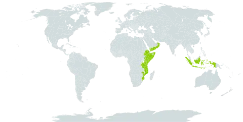 Dignathia world distribution map, present in Ethiopia, Indonesia, Kenya, Mozambique, Oman, Somalia, Tanzania, United Republic of, and Yemen