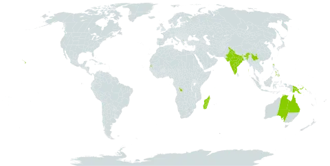 Dillenia world distribution map, present in Australia, China, Congo (Democratic Republic of the), Hong Kong, India, Madagascar, Philippines, Papua New Guinea, Seychelles, and United States of America