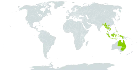 Dimeria chloridiformis world distribution map, present in Australia, Bangladesh, Indonesia, Myanmar, Nepal, Philippines, Thailand, United States of America, and Viet Nam