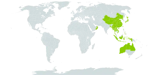 Dimeria ornithopoda world distribution map, present in Australia, Bangladesh, China, Indonesia, Japan, Lao People's Democratic Republic, Myanmar, Nepal, Oman, Philippines, Korea (Democratic People's Republic of), Thailand, Taiwan, Province of China, United States of America, and Viet Nam