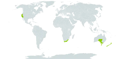 Dimorphotheca fruticosa world distribution map, present in Australia, New Zealand, United States of America, and South Africa