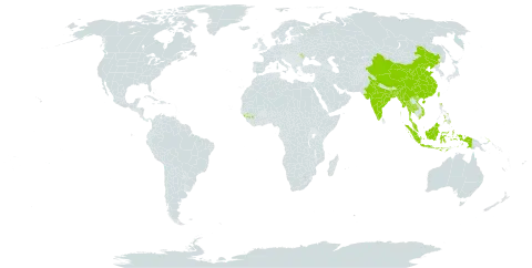 Dioscorea hispida world distribution map, present in Andorra, Bangladesh, China, Guinea, Indonesia, India, Moldova (Republic of), Myanmar, Malaysia, Nepal, Philippines, Papua New Guinea, Thailand, Taiwan, Province of China, and Viet Nam