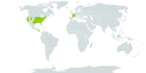 Diospyros virginiana world distribution map, present in Åland Islands, Bermuda, France, Georgia, Nicaragua, Palau, and United States of America