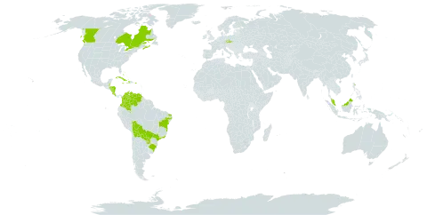 Diplachne fusca subsp. fascicularis world distribution map, present in Åland Islands, Bahamas, Belize, Bolivia (Plurinational State of), Brazil, Canada, Colombia, Costa Rica, Cuba, Cayman Islands, Czech Republic, Dominica, Micronesia (Federated States of), Honduras, Haiti, Jamaica, Malaysia, Nicaragua, Puerto Rico, Paraguay, and Venezuela (Bolivarian Republic of)