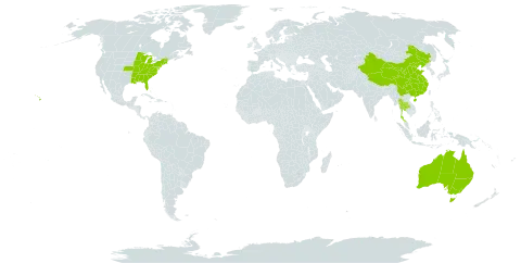 Diplazium world distribution map, present in Australia, China, Thailand, and United States of America