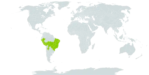 Diplopterys lutea world distribution map, present in Argentina, Bolivia (Plurinational State of), Brazil, Peru, and Paraguay