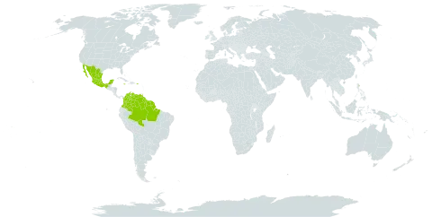 Dipteryx punctata world distribution map, present in American Samoa, Brazil, Colombia, French Guiana, Guyana, Jamaica, Mexico, Puerto Rico, Suriname, Trinidad and Tobago, and Venezuela (Bolivarian Republic of)