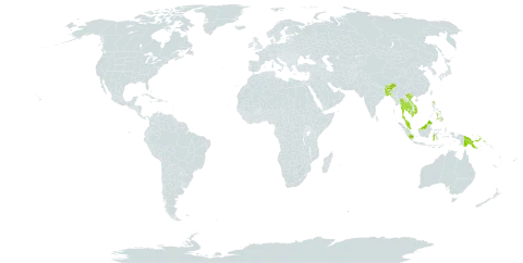 Dischidia bengalensis world distribution map, present in Bangladesh, Bhutan, Indonesia, India, Cambodia, Myanmar, Malaysia, Philippines, Papua New Guinea, Singapore, Thailand, and Viet Nam