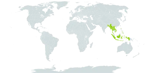 Discospermum world distribution map, present in Andorra, Bangladesh, Indonesia, Lao People's Democratic Republic, Myanmar, Philippines, Thailand, and Viet Nam