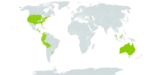 Distichlis world distribution map, present in Åland Islands, Australia, Bahamas, Belize, Bolivia (Plurinational State of), Colombia, Cuba, Cayman Islands, Dominica, Ecuador, Georgia, Guatemala, Haiti, Malaysia, Nicaragua, Peru, Uruguay, and United States of America