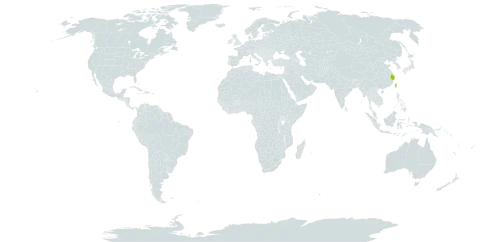 Distylium gracile world distribution map, present in China and Taiwan, Province of China