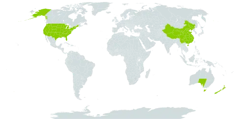 Draba world distribution map, present in Australia, China, New Zealand, and United States of America