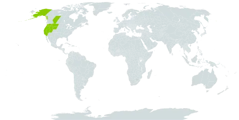 Draba paysonii world distribution map, present in Canada and United States of America