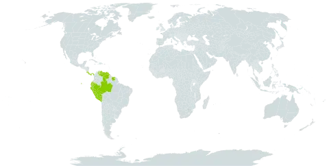 Dracontium spruceanum world distribution map, present in Brazil, Costa Rica, Ecuador, Panama, Peru, Suriname, and Venezuela (Bolivarian Republic of)