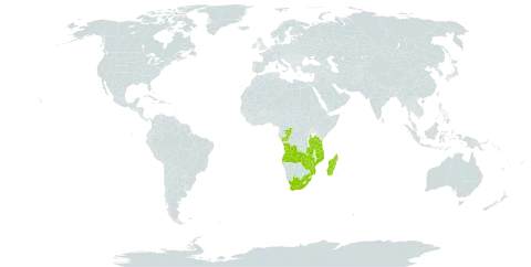 Drosera burkeana world distribution map, present in Angola, Botswana, Congo, Sri Lanka, Madagascar, Mozambique, Malawi, Tanzania, United Republic of, Uganda, South Africa, Zambia, and Zimbabwe