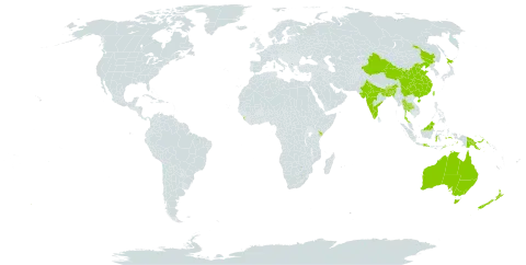 Drosera peltata world distribution map, present in Australia, Bangladesh, Brunei Darussalam, Bhutan, China, Hong Kong, Indonesia, India, Japan, Kenya, Sri Lanka, Macao, Malaysia, Nepal, New Zealand, Philippines, Papua New Guinea, Singapore, Thailand, Timor-Leste, and Taiwan, Province of China