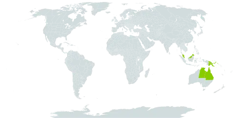 Drosera petiolaris world distribution map, present in Australia, Malaysia, and Papua New Guinea