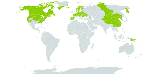 Drosera rotundifolia world distribution map, present in Austria, Belgium, Bosnia and Herzegovina, Belarus, Canada, Switzerland, China, Cameroon, Czech Republic, Germany, Denmark, Spain, Estonia, Finland, France, United Kingdom of Great Britain and Northern Ireland, Georgia, Greenland, Croatia, Hungary, Iceland, Israel, Japan, Liberia, Liechtenstein, Lithuania, Latvia, Monaco, Moldova (Republic of), North Macedonia, Montenegro, Mongolia, Netherlands, Norway, Papua New Guinea, Poland, Korea (Democratic People's Republic of), Portugal, Romania, Russian Federation, Saint Pierre and Miquelon, Serbia, Slovakia, Slovenia, Sweden, Ukraine, and United States of America