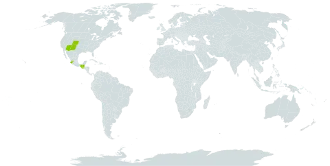 Drymaria depressa world distribution map, present in Guatemala, Mexico, and United States of America